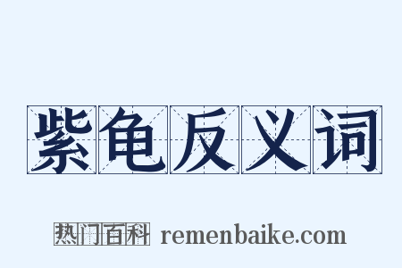 紫龟反义词是什么意思的图片